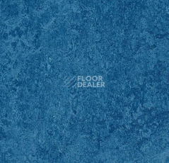 Линолеум Forbo Marmoleum Marbled Real 3030 / 303035 Blue фото 1 | FLOORDEALER
